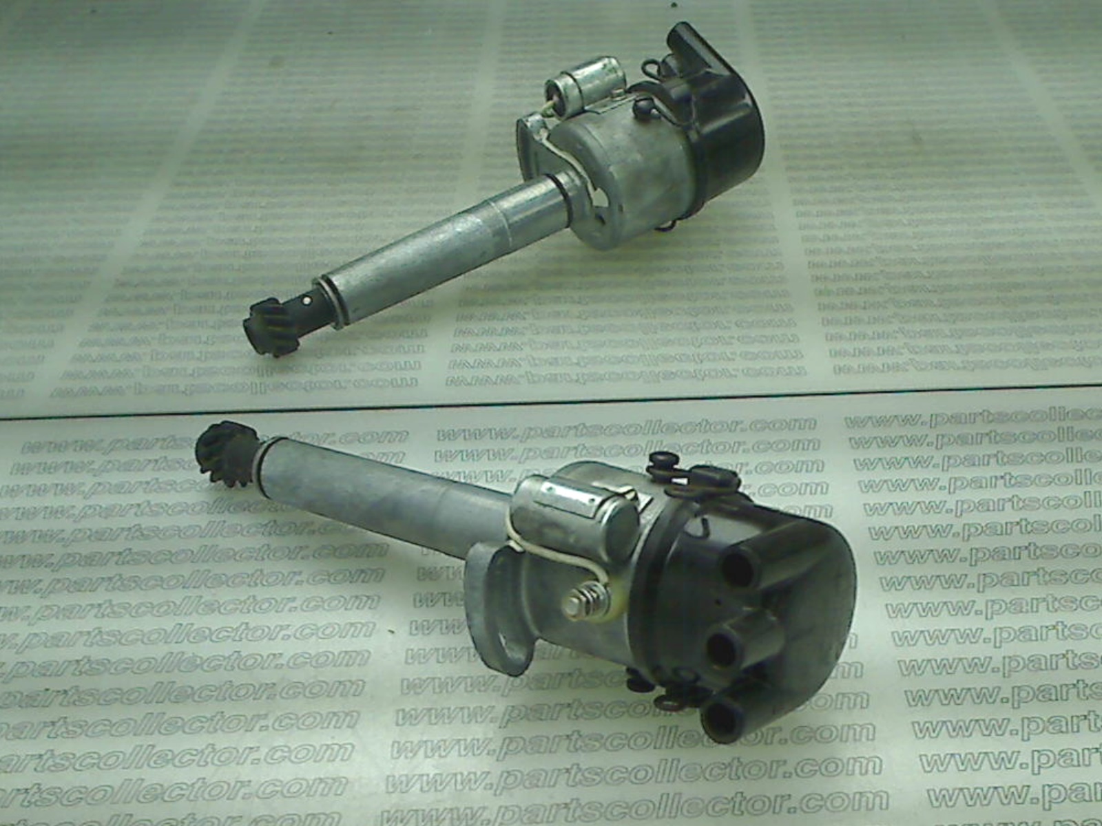 DISTRIBUTOR